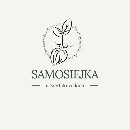 Willa Samosiejka - z widokiem na jezioro Lidzbark Welski Zewnętrze zdjęcie